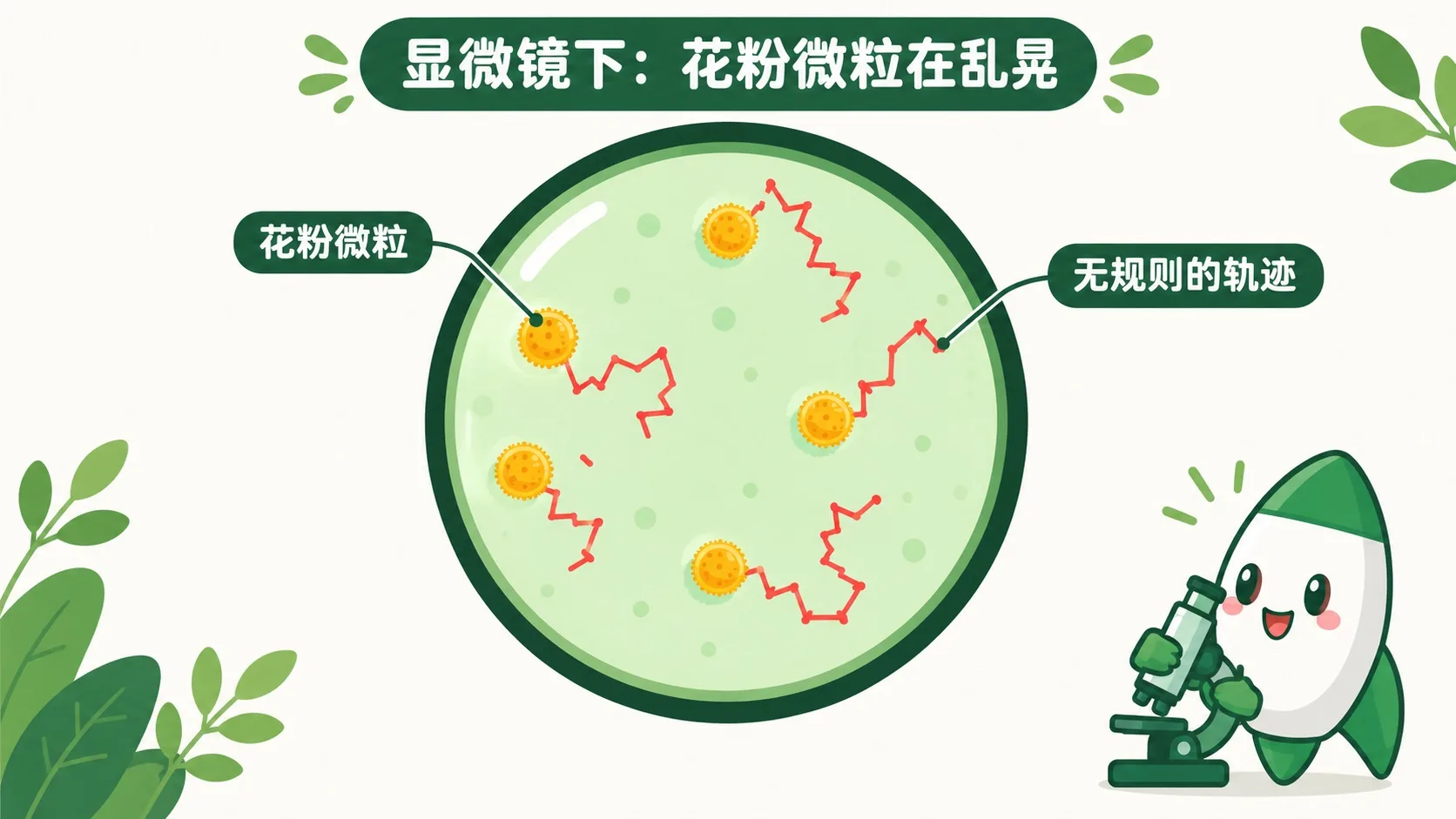 显微镜下：花粉微粒拖着无规则的轨迹乱晃