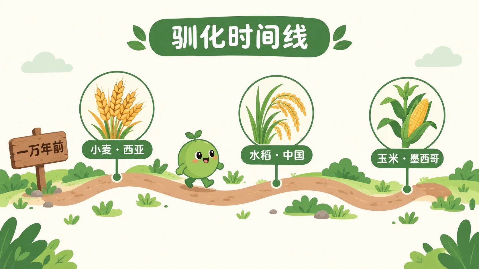 驯化时间线：小麦、水稻、玉米