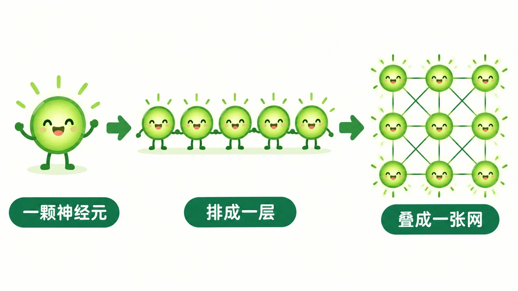 三级跳：一颗神经元 → 排成一层 → 叠成一张网