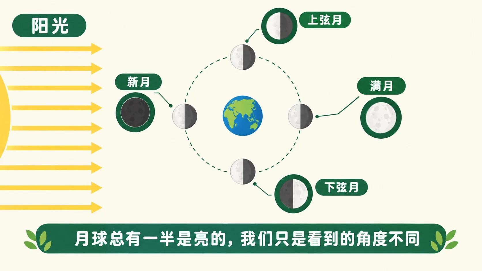 月相图：月球总有一半是亮的，我们看到的角度不同