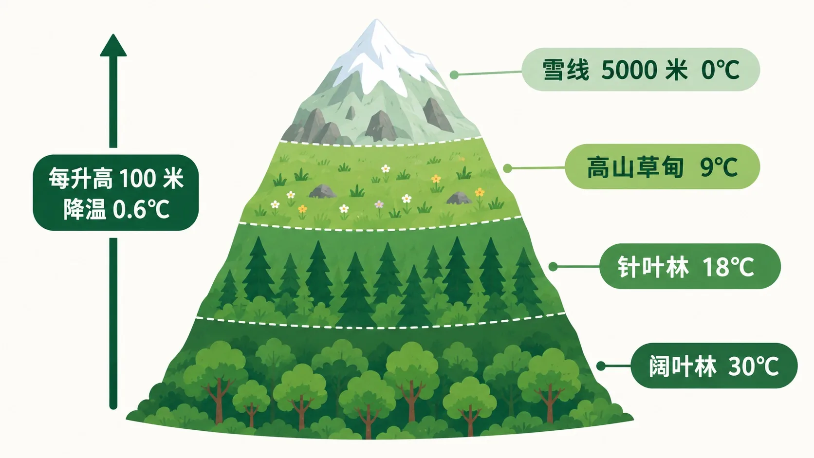 山地垂直气候带：每升高 100 米降温 0.6℃