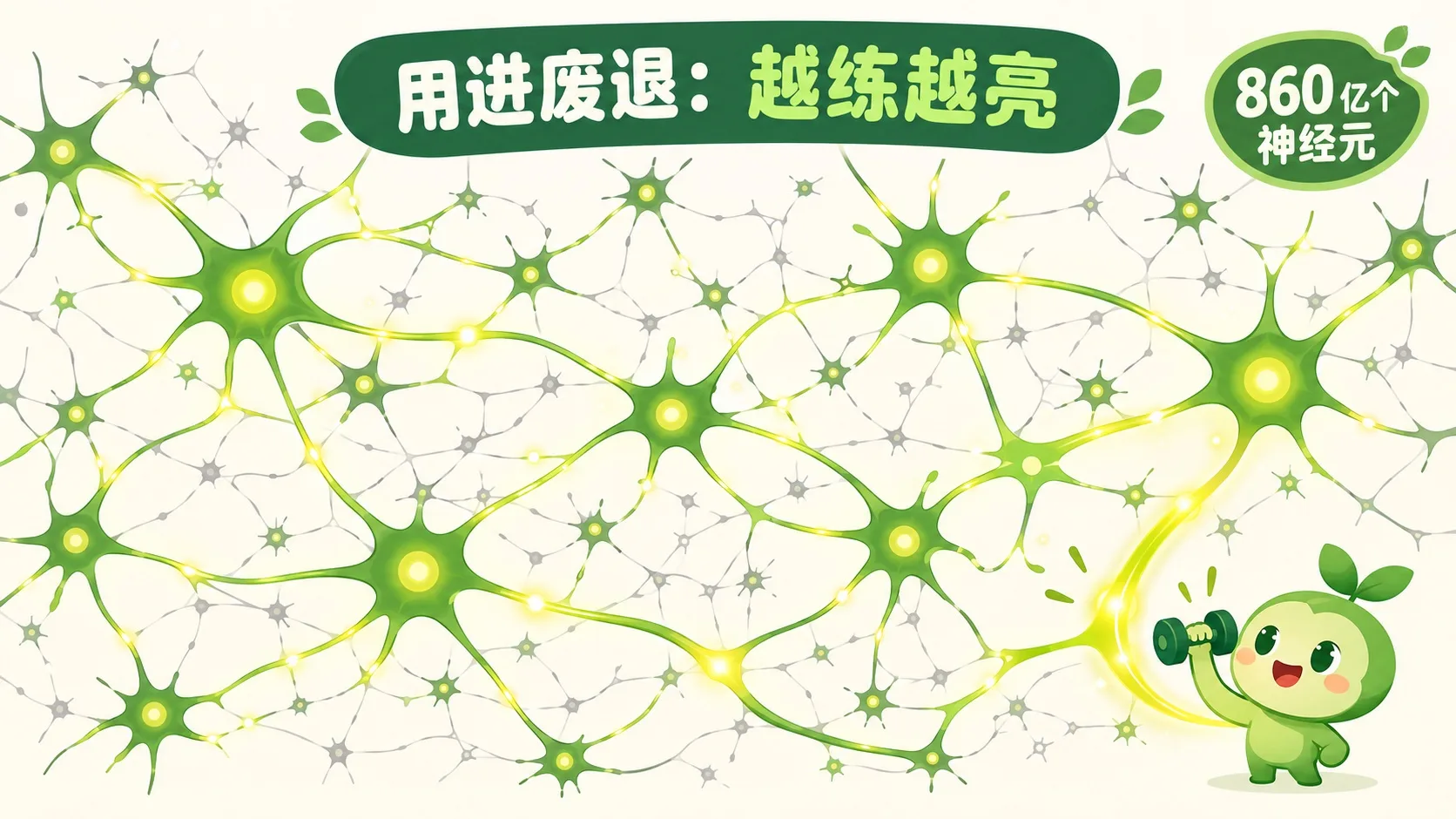 神经网络发光：常用连接越练越亮