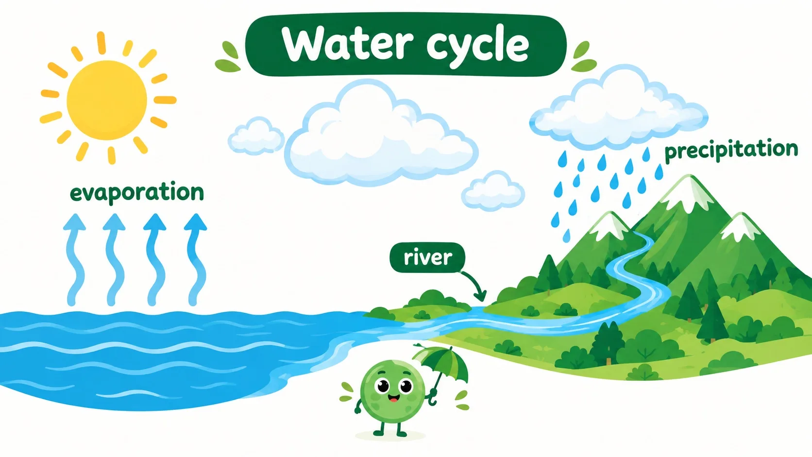 水循环：蒸发 — 降水 — 河流 — 回到大海