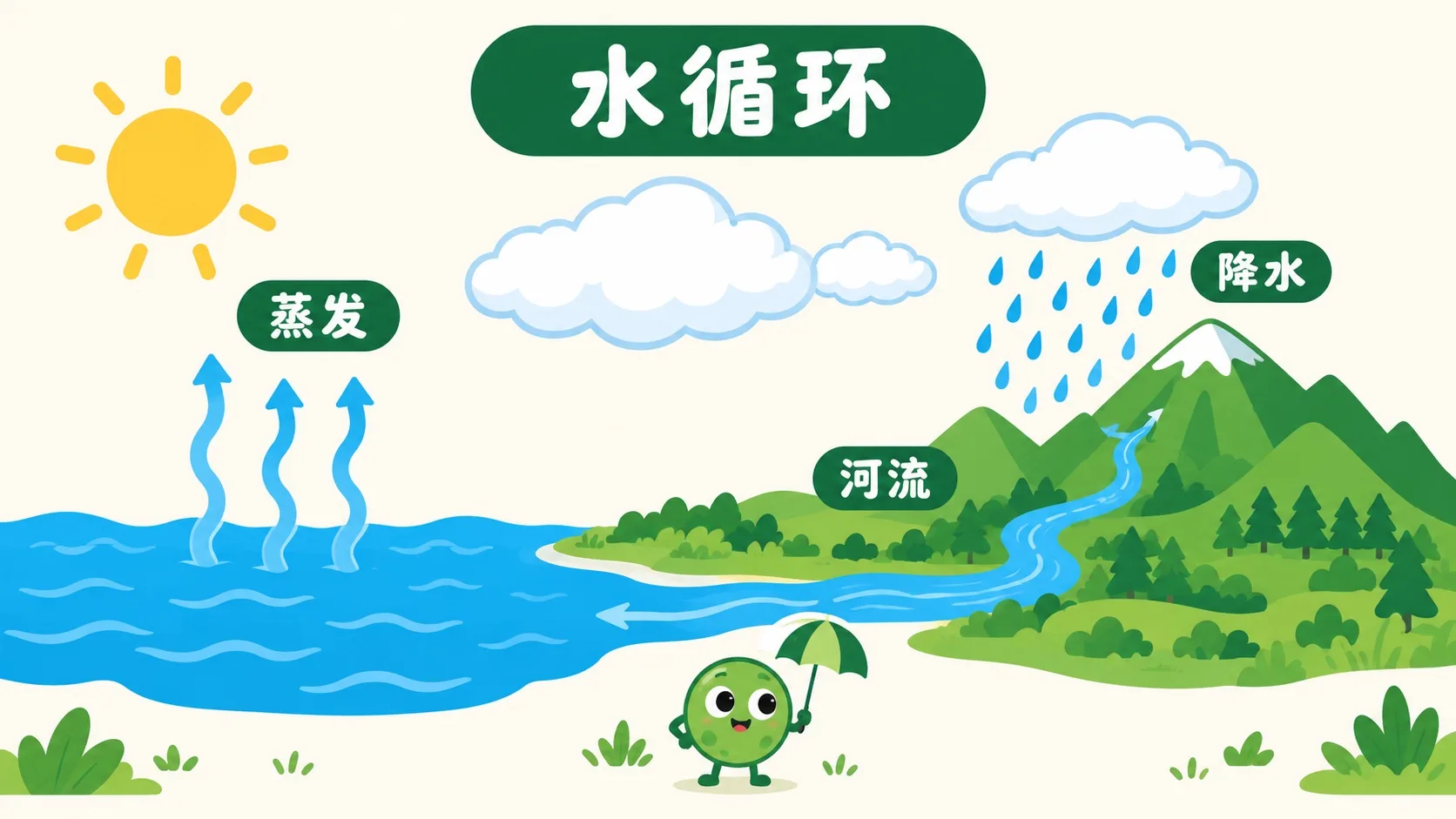 水循环：蒸发 — 降水 — 河流 — 回到大海
