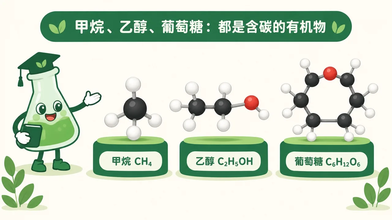 甲烷 CH₄、乙醇 C₂H₅OH、葡萄糖 C₆H₁₂O₆ 的球棒模型