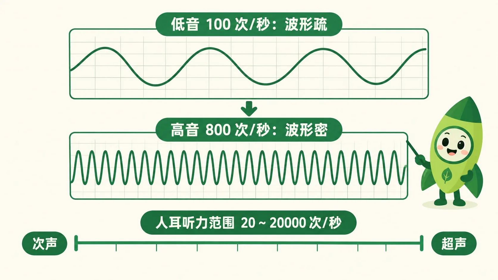 波形密疏与人耳听力范围